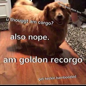 Meet your Posher, Get hecking bamboozled